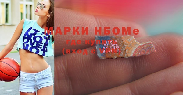 стафф Алзамай