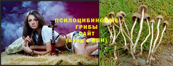 стафф Алзамай