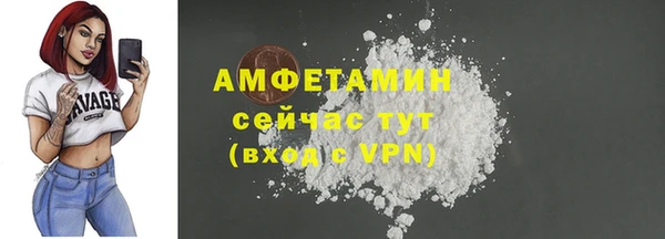 стафф Алзамай