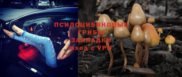 круглые Алексеевка